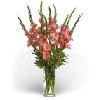 Gladiolus - Floral Delights - Bolingbrook, Illinois