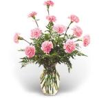 Carnation - Floral Delights - Bolingbrook, Illinois