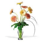 Gerbera - Floral Delights - Bolingbrook, Illinois